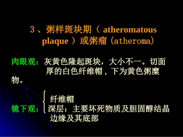 病理学动脉粥样硬化症中部分