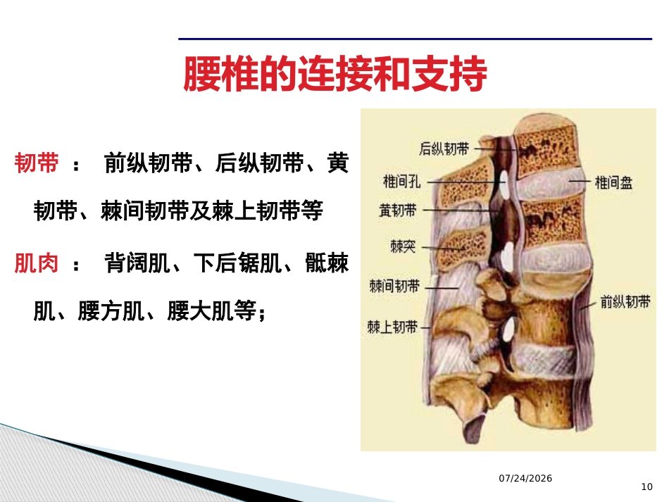腰腿痛课件(最新)_第10页