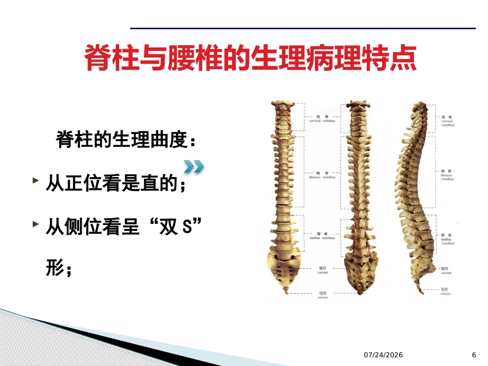 腰腿痛课件(最新)_第6页