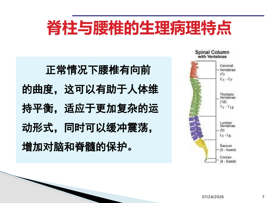 腰腿痛课件(最新)_第7页