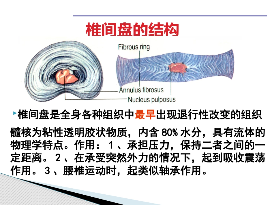 腰腿痛课件(最新)_第9页