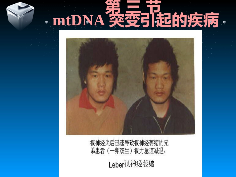 包括mtDNA异常导致的线粒体病_第14页