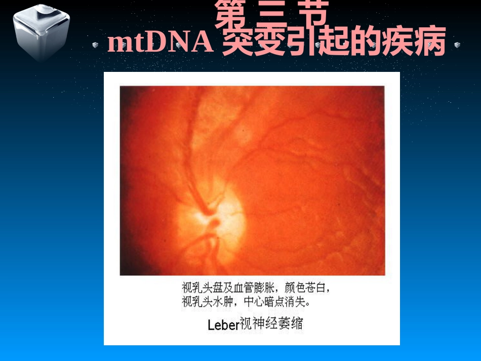包括mtDNA异常导致的线粒体病_第15页