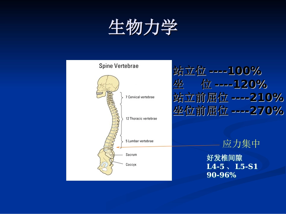 五年制讲稿——腰腿痛和颈肩痛_第13页