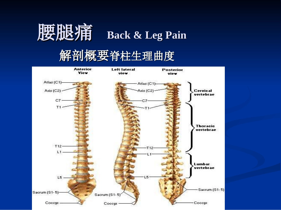 五年制讲稿——腰腿痛和颈肩痛_第6页