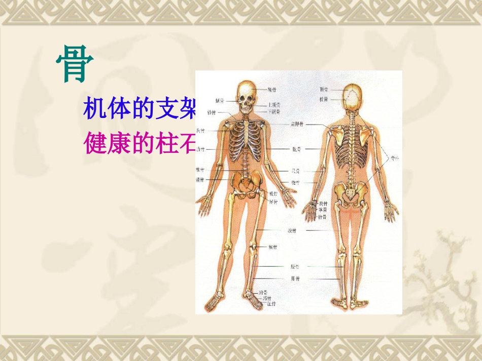 骨质疏松_第2页