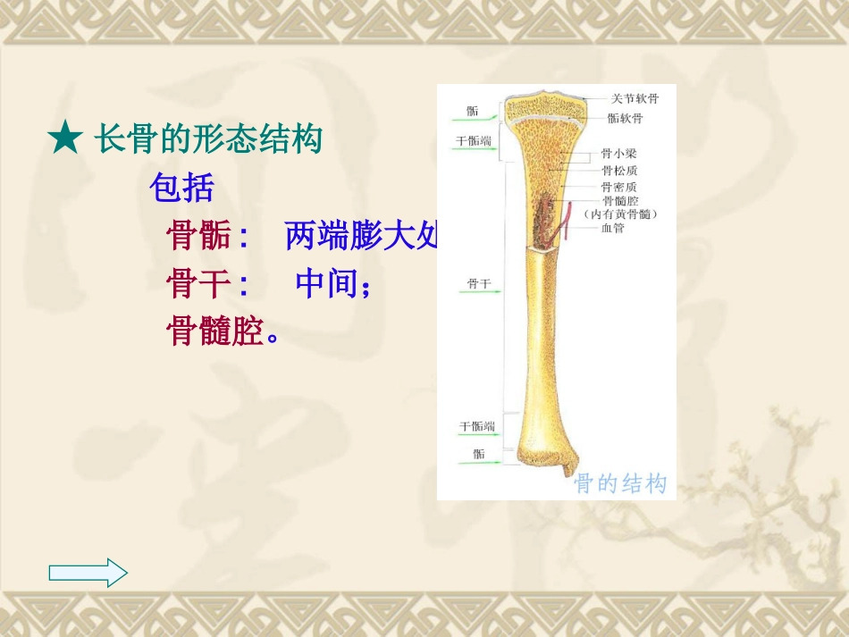 骨质疏松_第3页