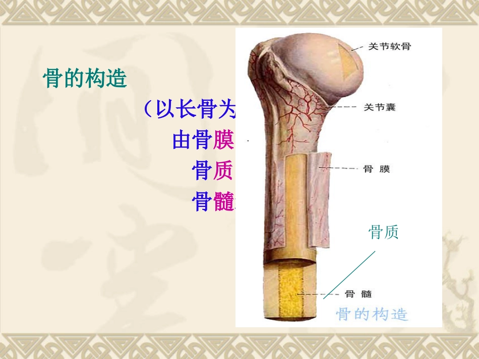 骨质疏松_第4页