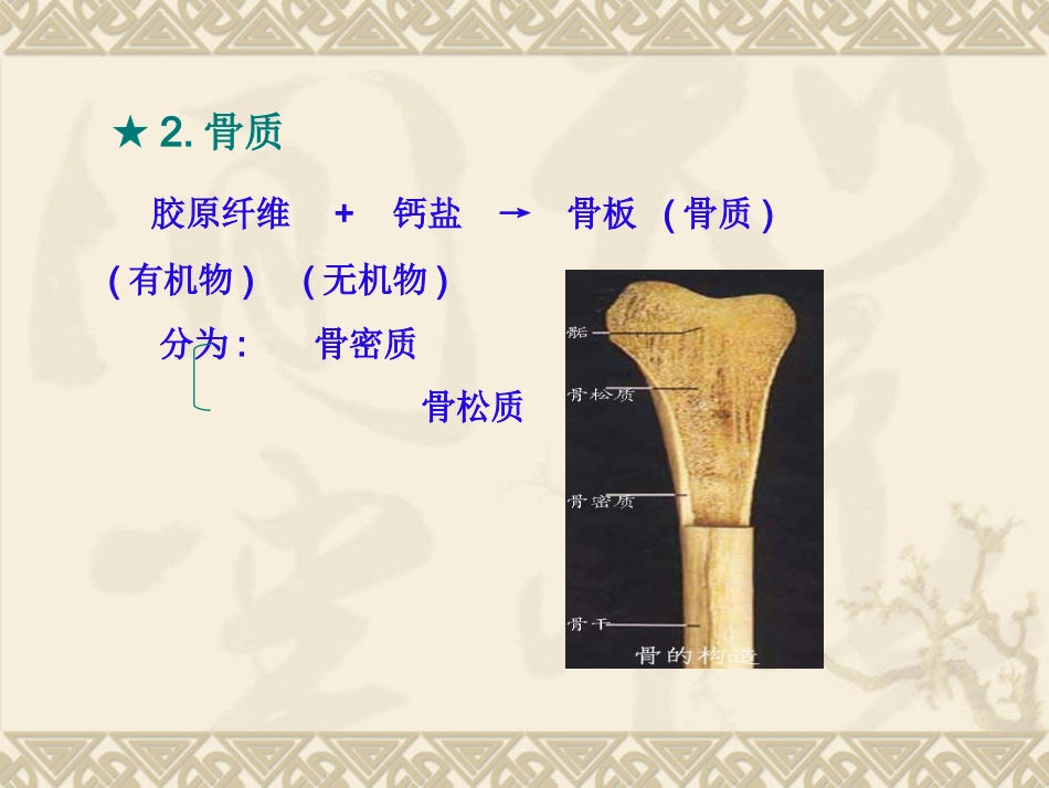 骨质疏松_第5页