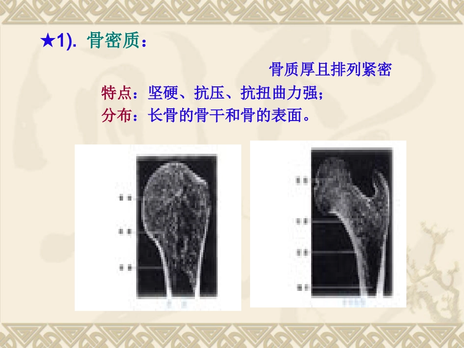 骨质疏松_第6页