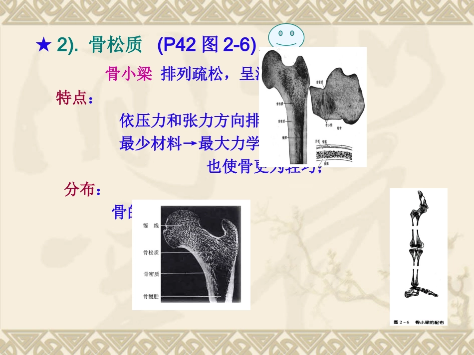 骨质疏松_第7页
