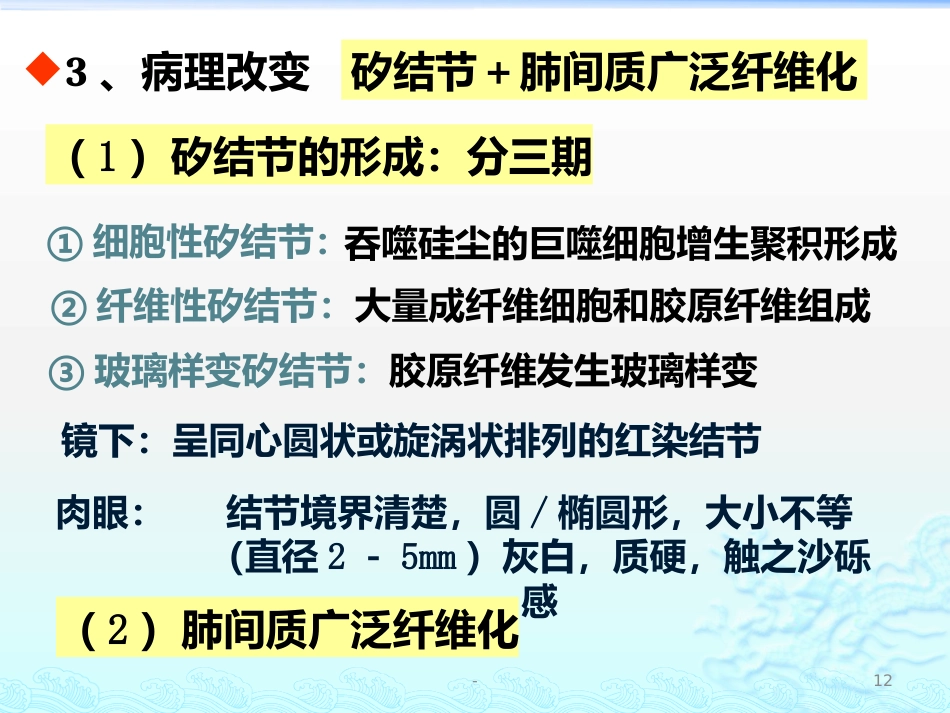病理学 矽肺 肺心病 ARDS 肺癌ppt课件_第12页