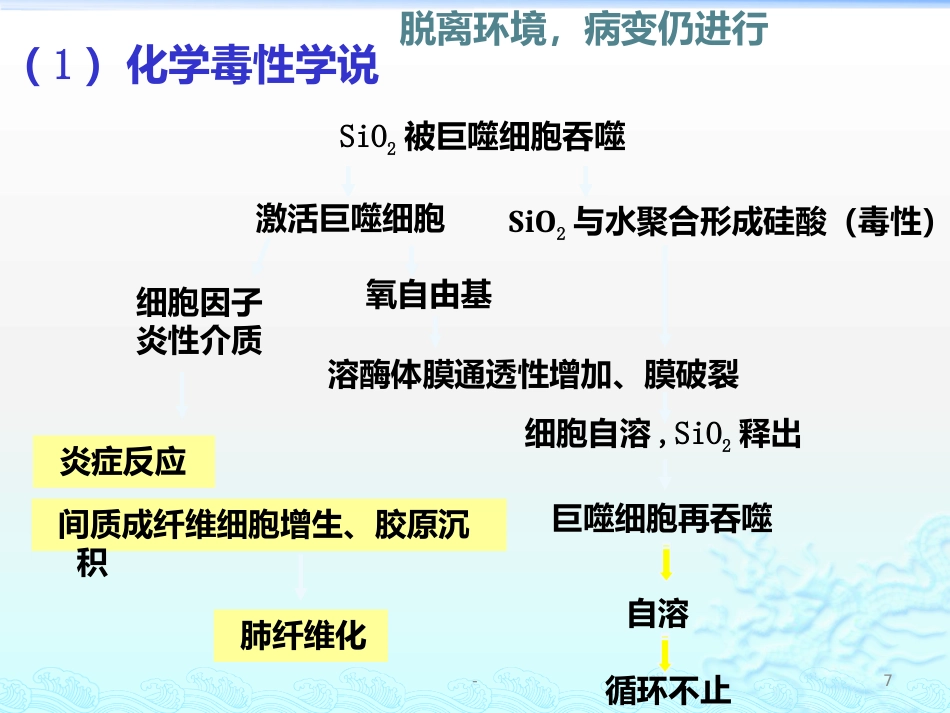 病理学 矽肺 肺心病 ARDS 肺癌ppt课件_第7页