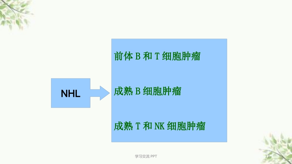 病理学淋巴造血系统疾病医学PPT课件_第11页