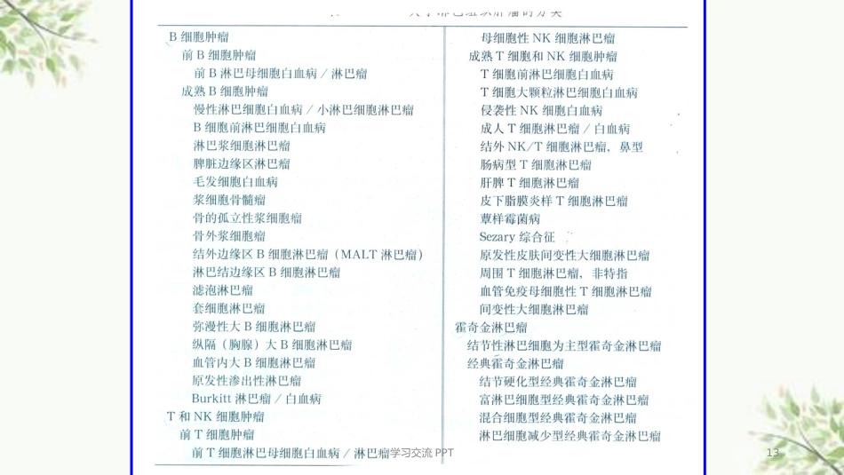 病理学淋巴造血系统疾病医学PPT课件_第12页