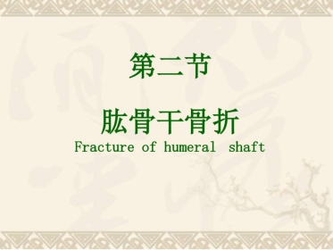 肱骨干骨折(课件).