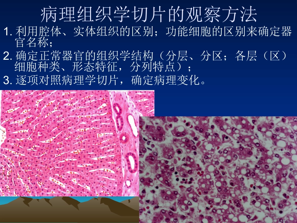 病理学基础-变性与坏死-兽医学概论(动物科学专业使用)_第3页