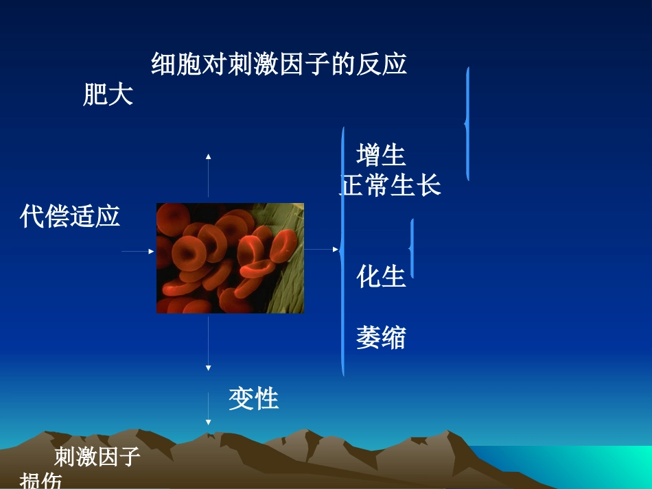 病理学基础-变性与坏死-兽医学概论(动物科学专业使用)_第5页