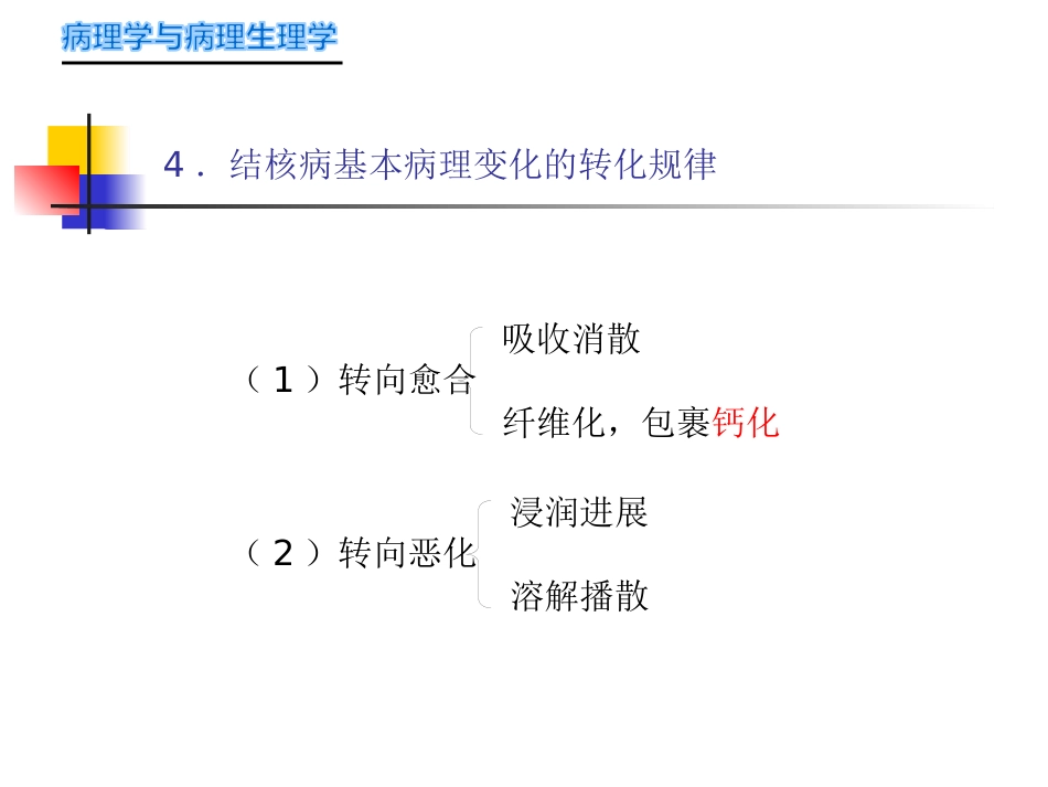 病理学-传染病_第11页