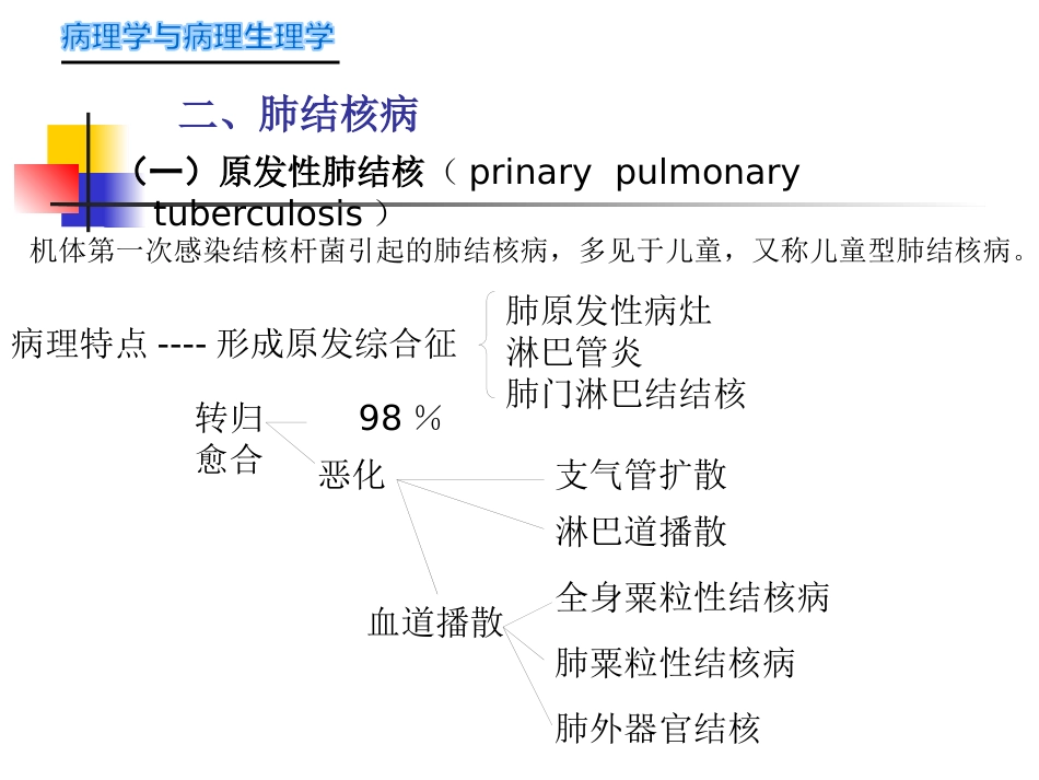 病理学-传染病_第13页