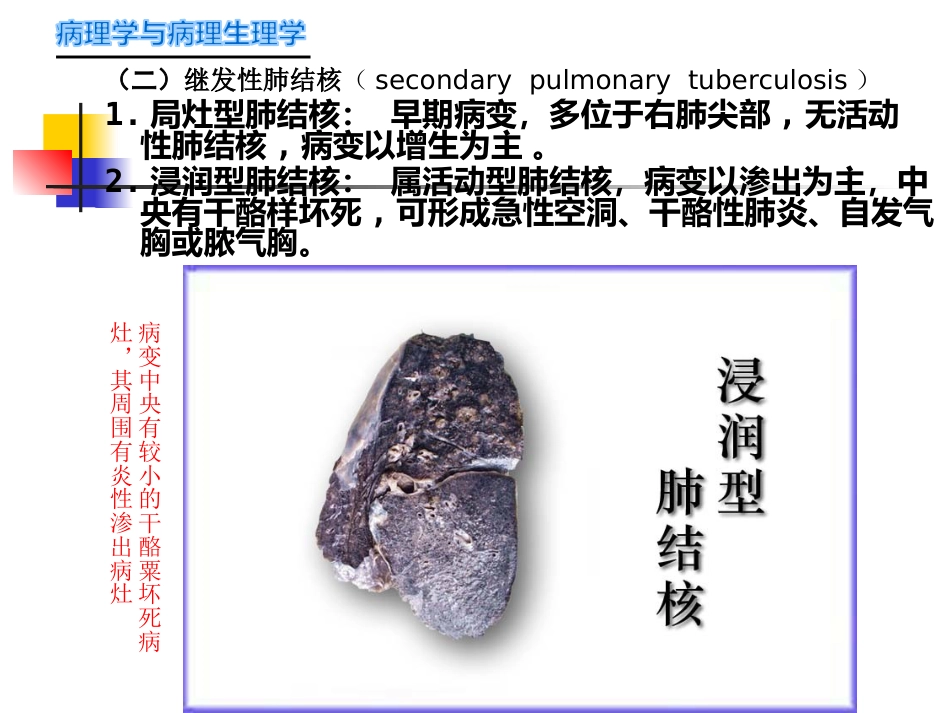 病理学-传染病_第15页