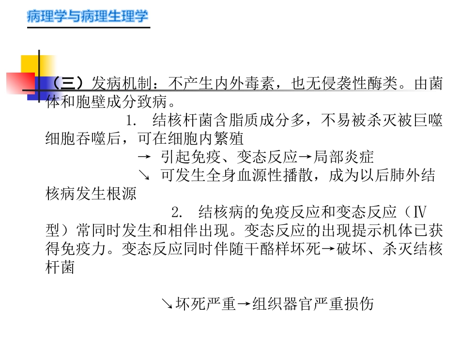 病理学-传染病_第4页