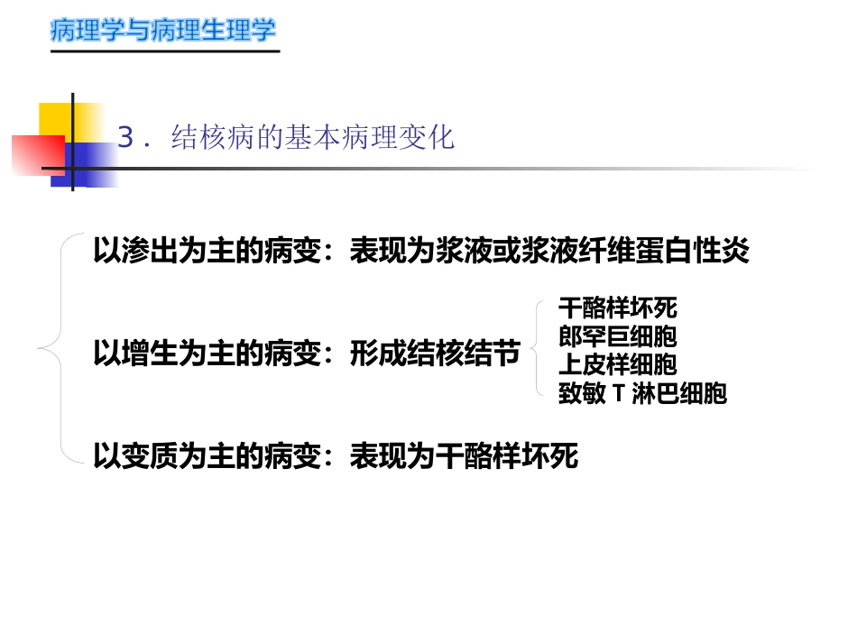 病理学-传染病_第5页