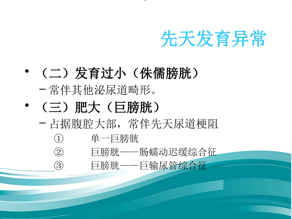 膀胱疾病病理学ppt课件_第11页