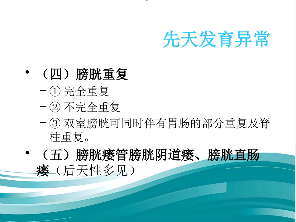 膀胱疾病病理学ppt课件_第12页
