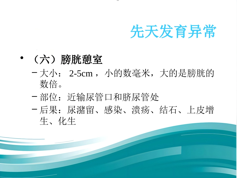 膀胱疾病病理学ppt课件_第13页