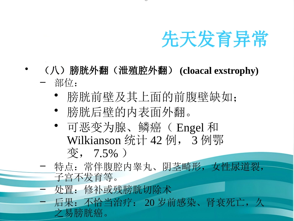 膀胱疾病病理学ppt课件_第15页