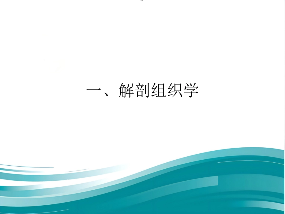 膀胱疾病病理学ppt课件_第2页