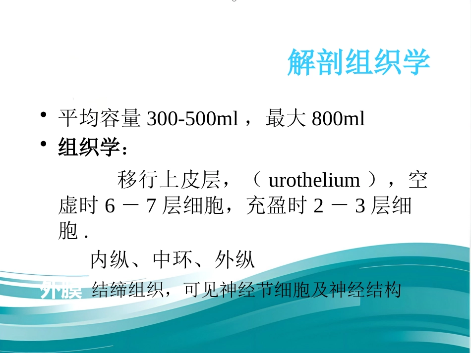 膀胱疾病病理学ppt课件_第7页