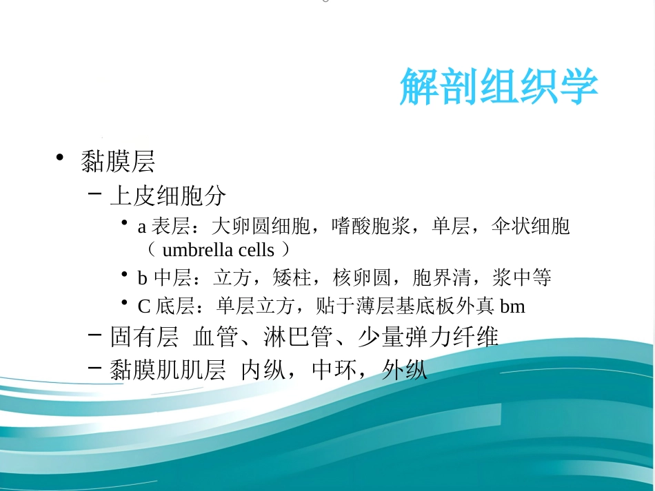 膀胱疾病病理学ppt课件_第8页