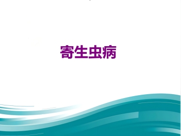 病理学-寄生虫