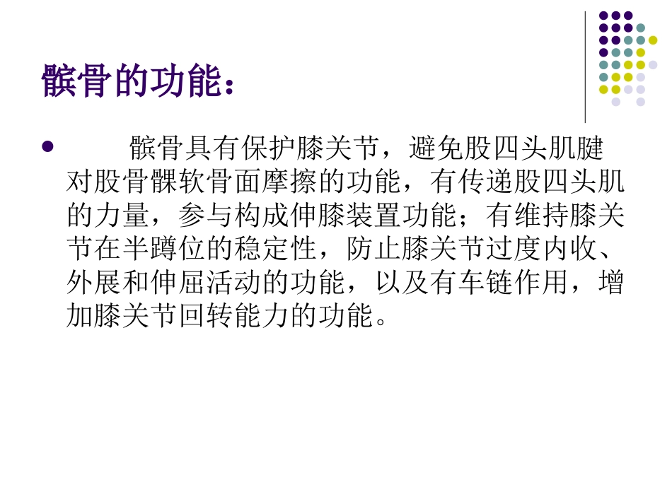 复发性髌骨脱位_第5页
