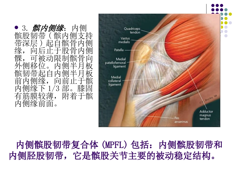 复发性髌骨脱位_第7页