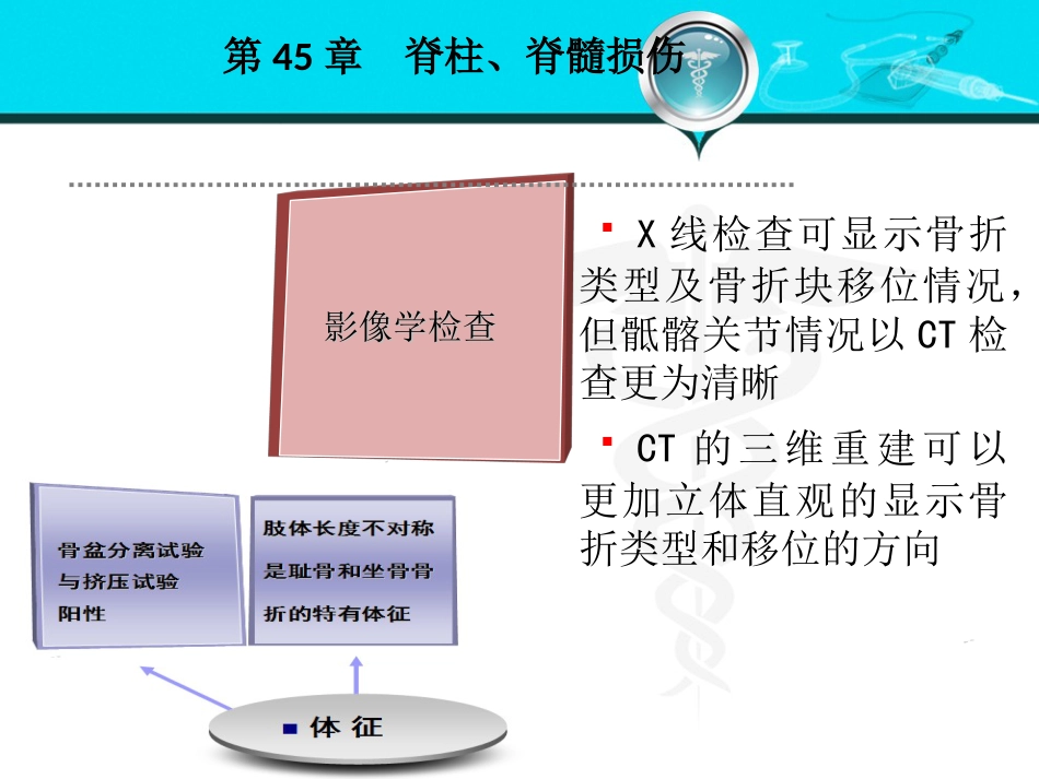 骨盆髋臼骨折_第13页
