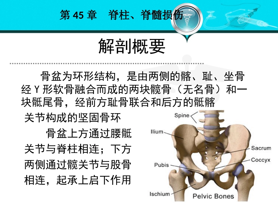 骨盆髋臼骨折_第2页