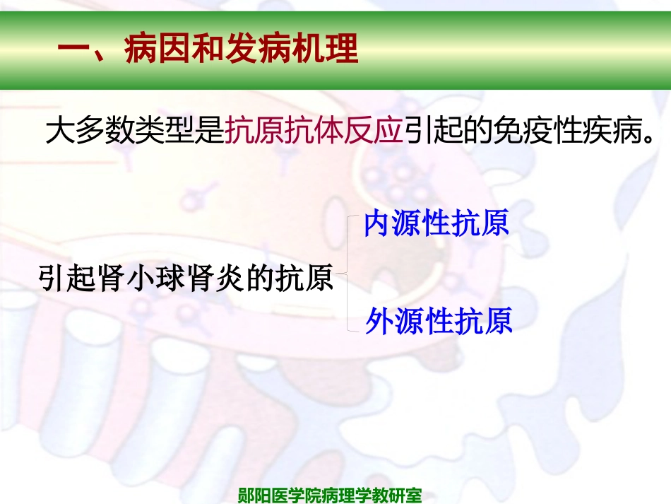 病理学泌尿系统疾病_第11页