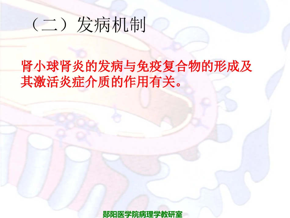 病理学泌尿系统疾病_第12页