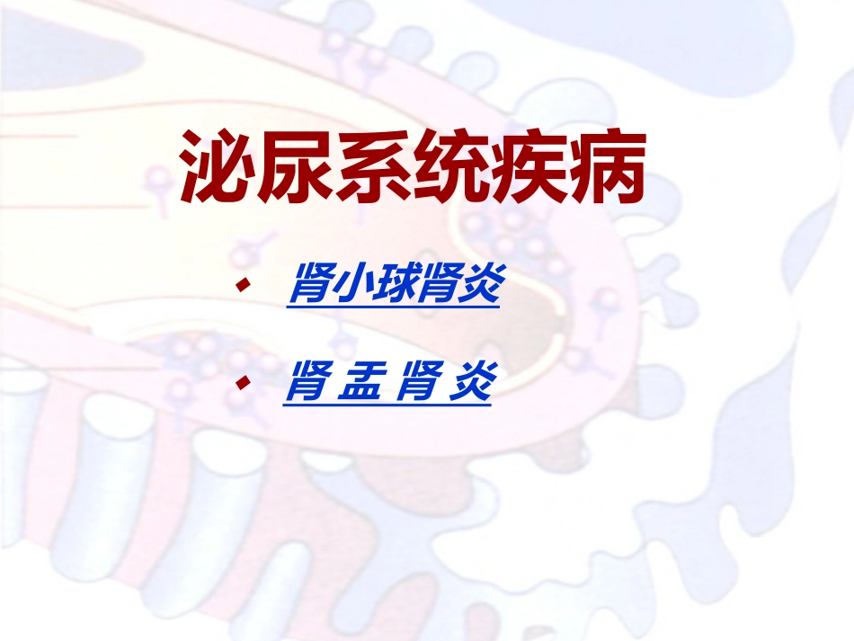 病理学泌尿系统疾病_第2页