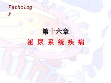 病理学泌尿系统疾病