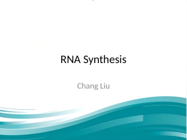 病毒RNA合成