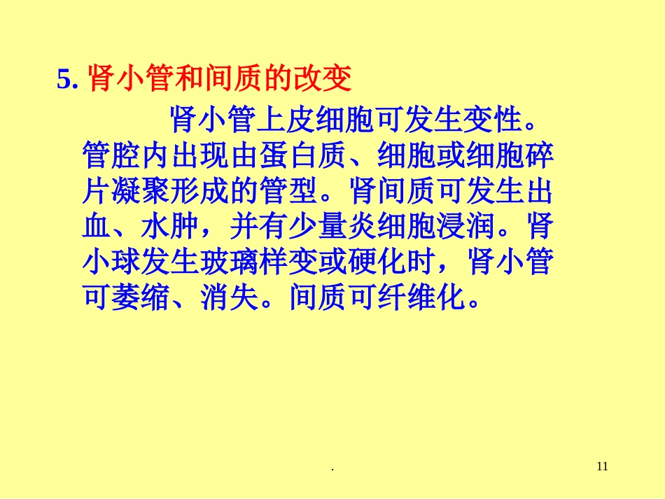 病理学泌尿系统疾病ppt课件ppt演示课件_第11页