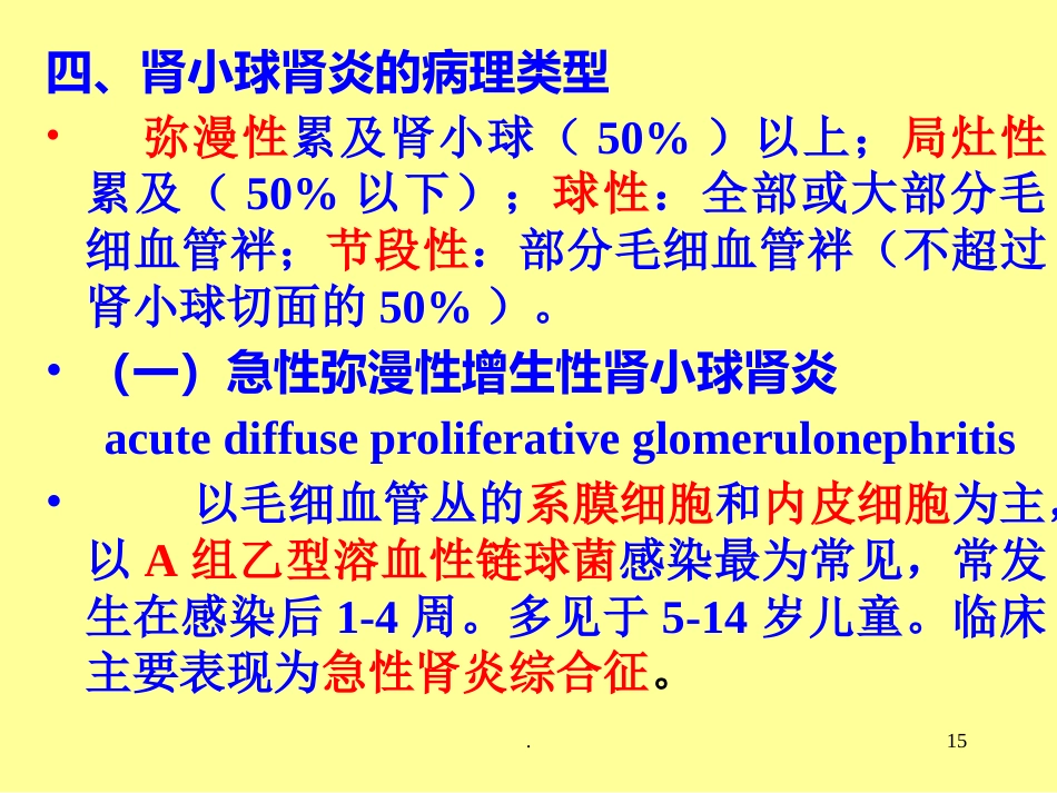 病理学泌尿系统疾病ppt课件ppt演示课件_第15页