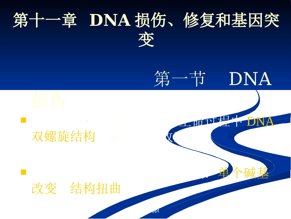 DNA损伤,修复和基因突变_第1页