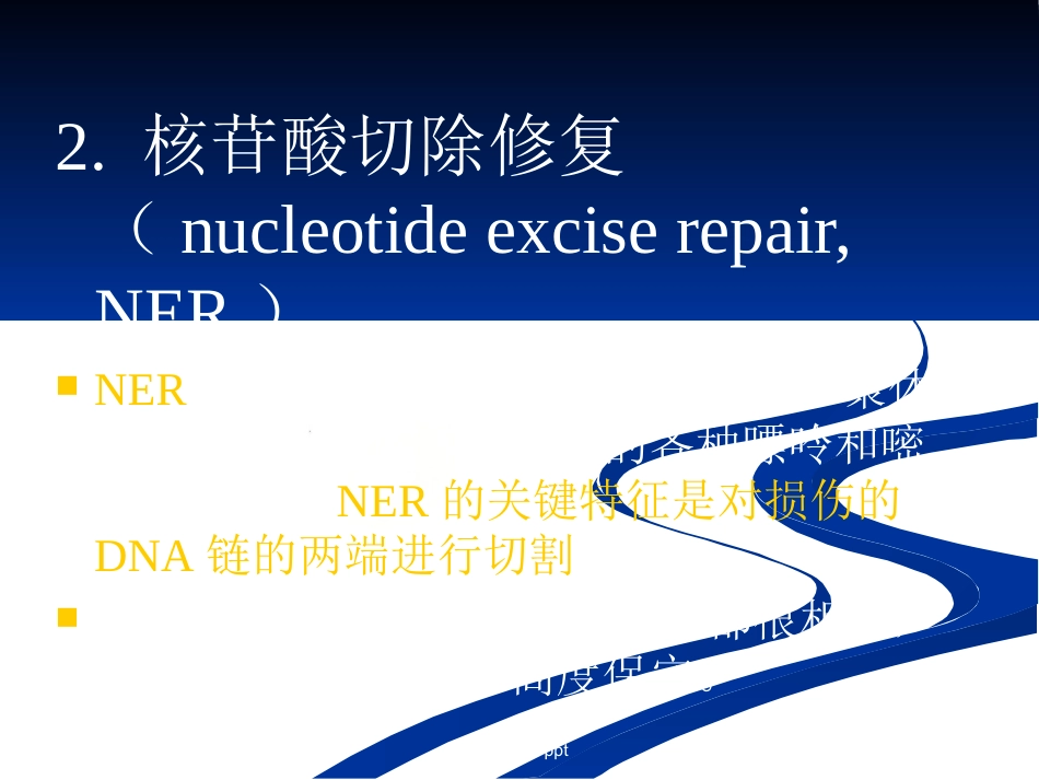 DNA损伤,修复和基因突变_第11页