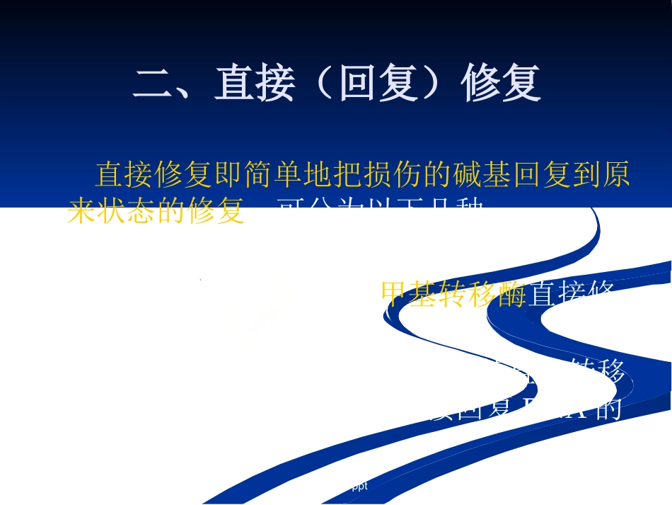 DNA损伤,修复和基因突变_第14页