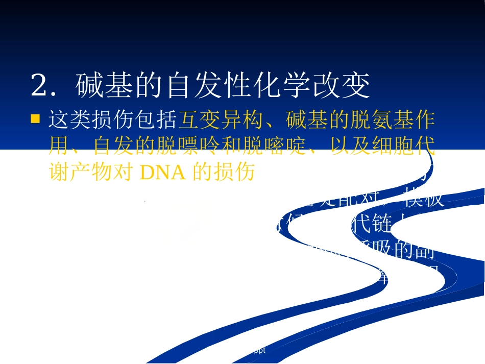 DNA损伤,修复和基因突变_第3页